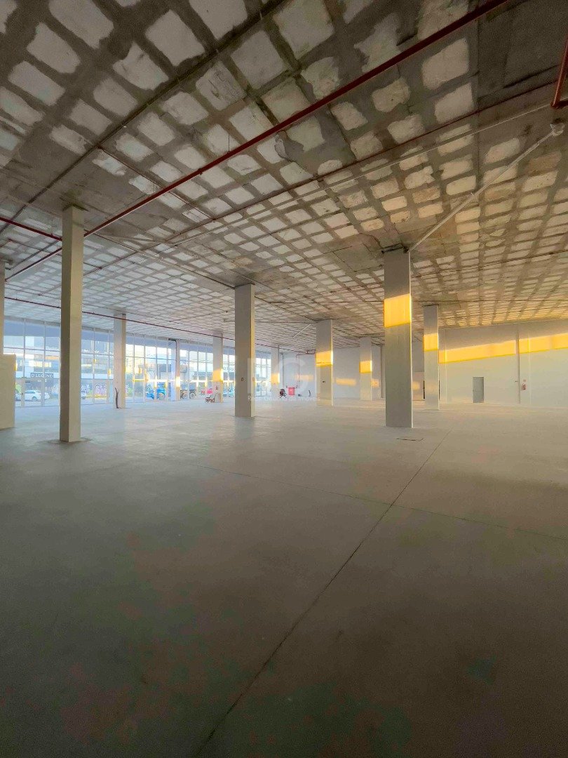 Conjunto Comercial-Sala para alugar, 520m² - Foto 9