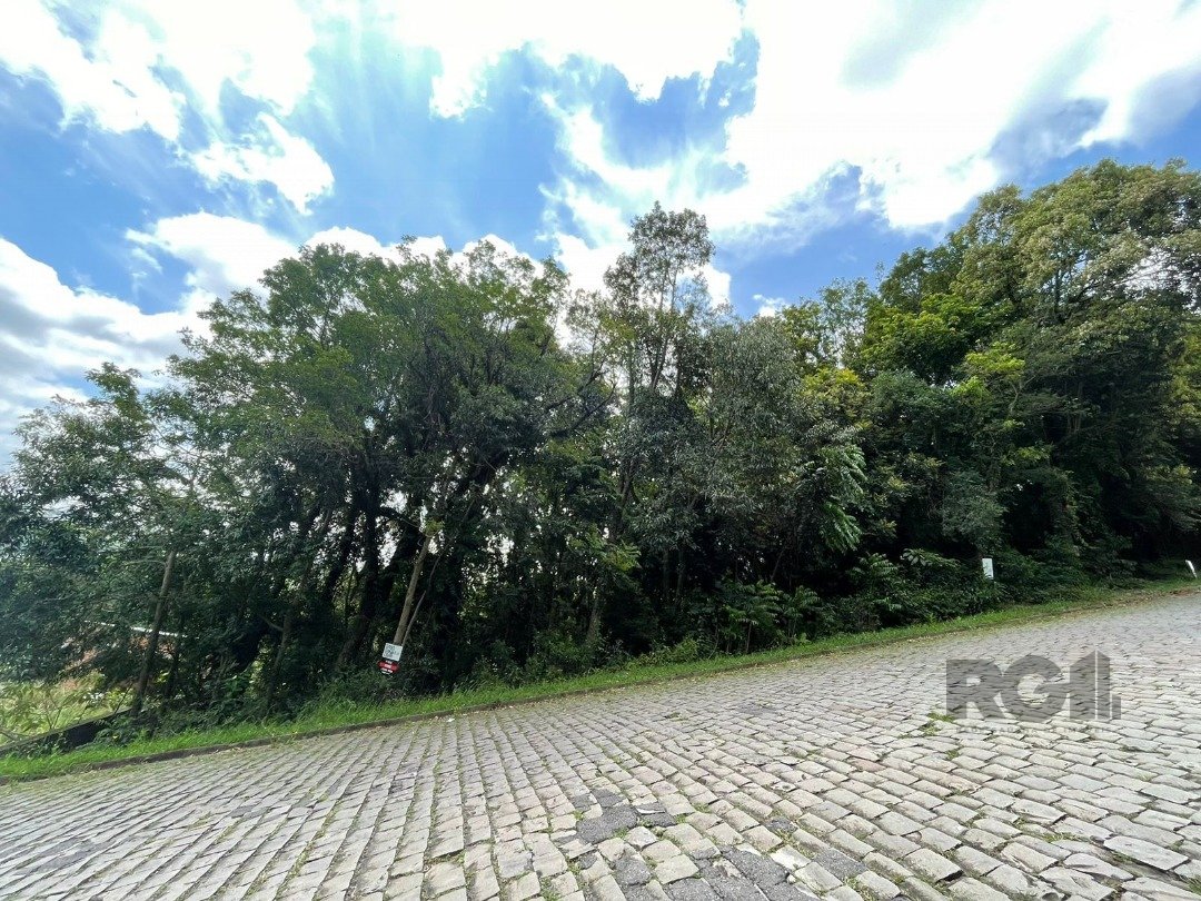Terreno com 360m² no bairro Santa Catarina em Caxias do Sul para Comprar