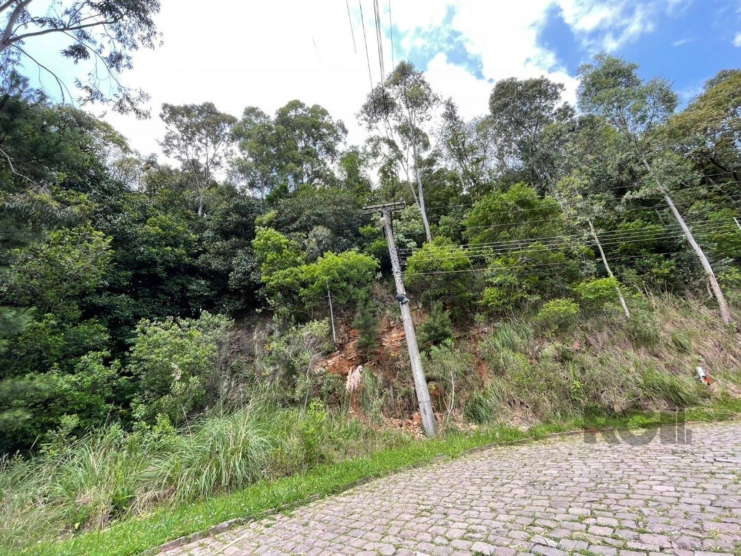 Terreno com 369m² no bairro Santa Catarina em Caxias do Sul para Comprar