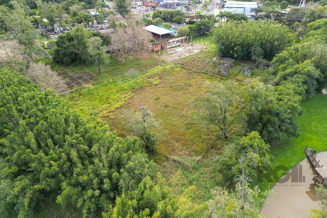 Terreno para alugar, 11146m² - Foto 3