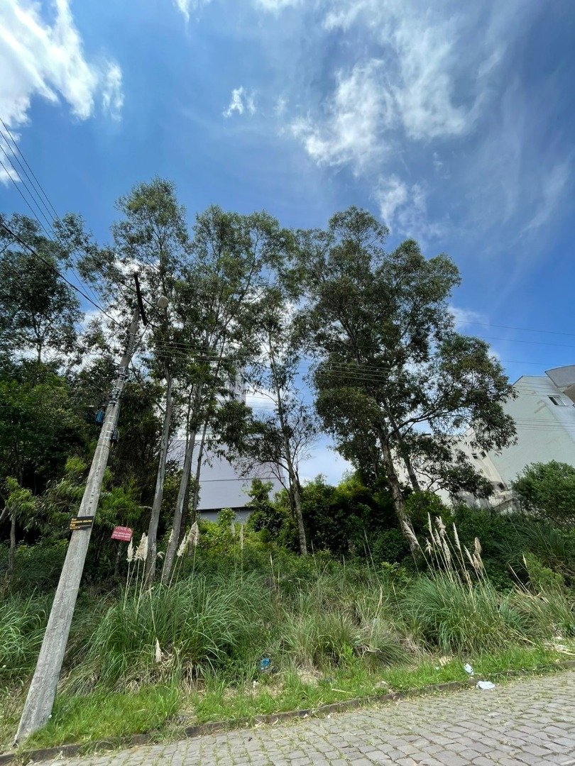 Terreno com 360m² no bairro Santa Catarina em Caxias do Sul para Comprar