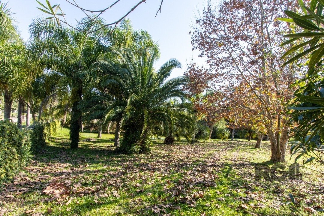 Depósito-Galpão-Armazém para alugar, 3061m² - Foto 4