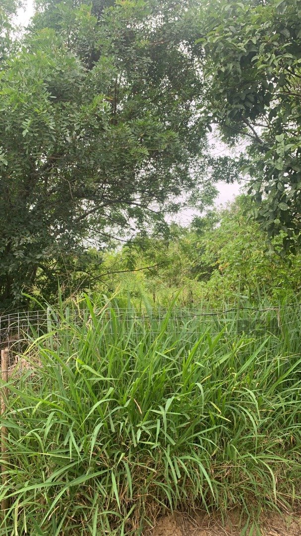 Terreno à venda , 1002m², Avenida Heitor Vieira no bairro Belém Novo em Porto Alegre