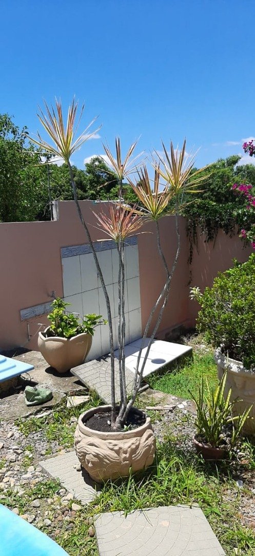 Casa para alugar com 4 quartos, 197m² - Foto 5