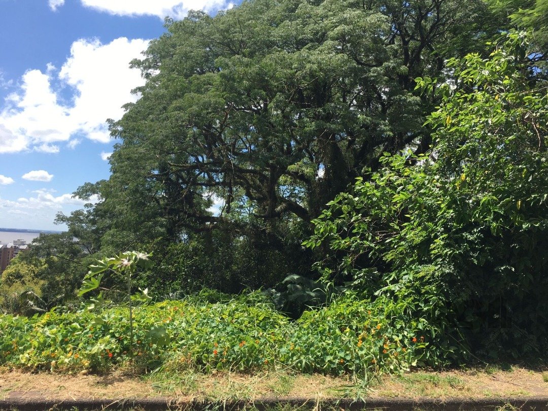 Terreno à venda, 2m² - Foto 3