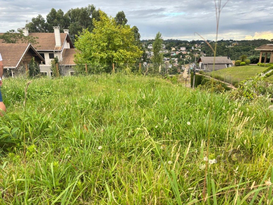 Terreno à venda, 2m² - Foto 5