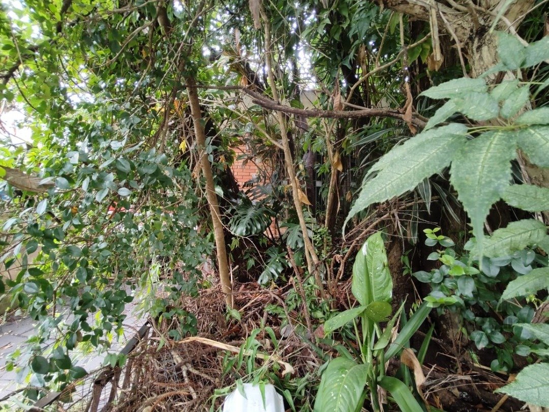 Foto imóvel