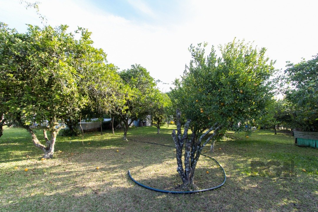 Foto imóvel
