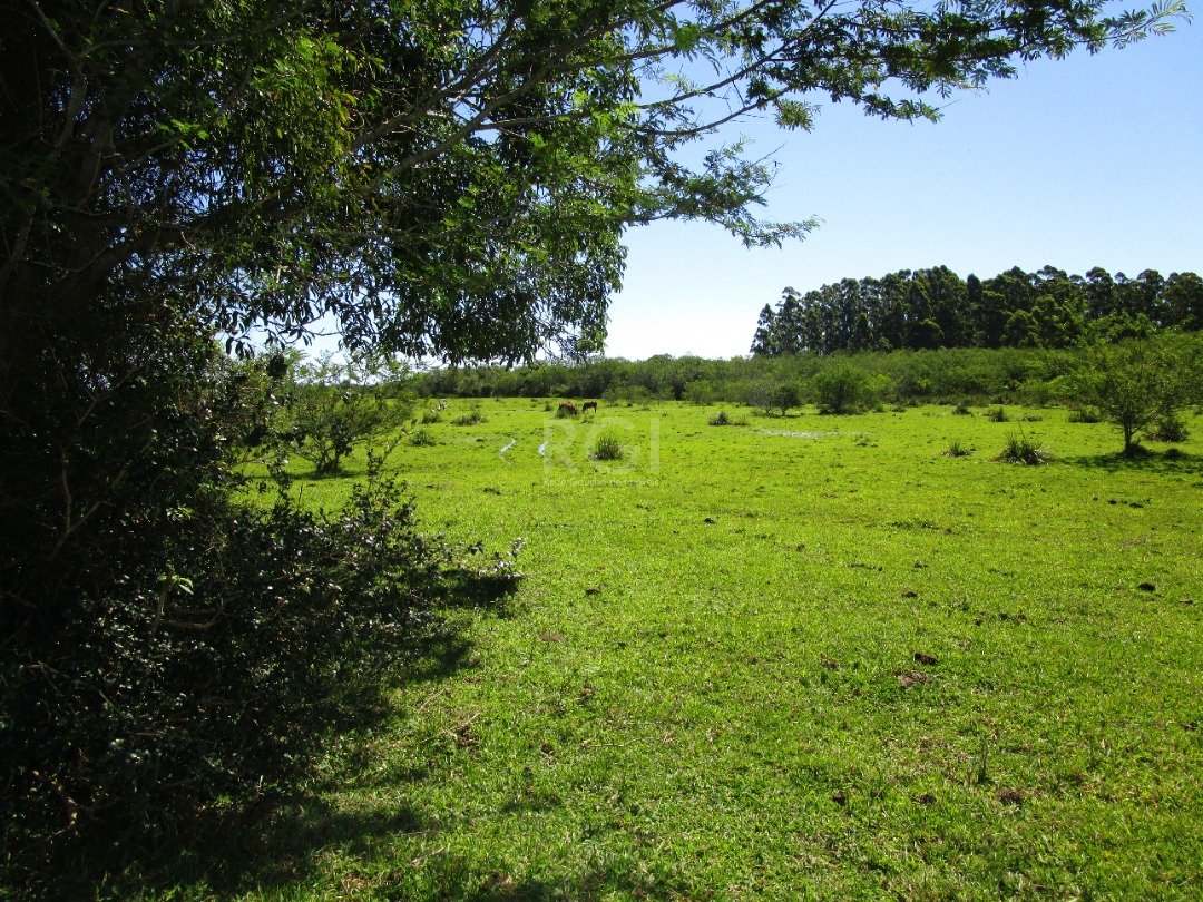 Terreno à venda, 200000m² - Foto 5