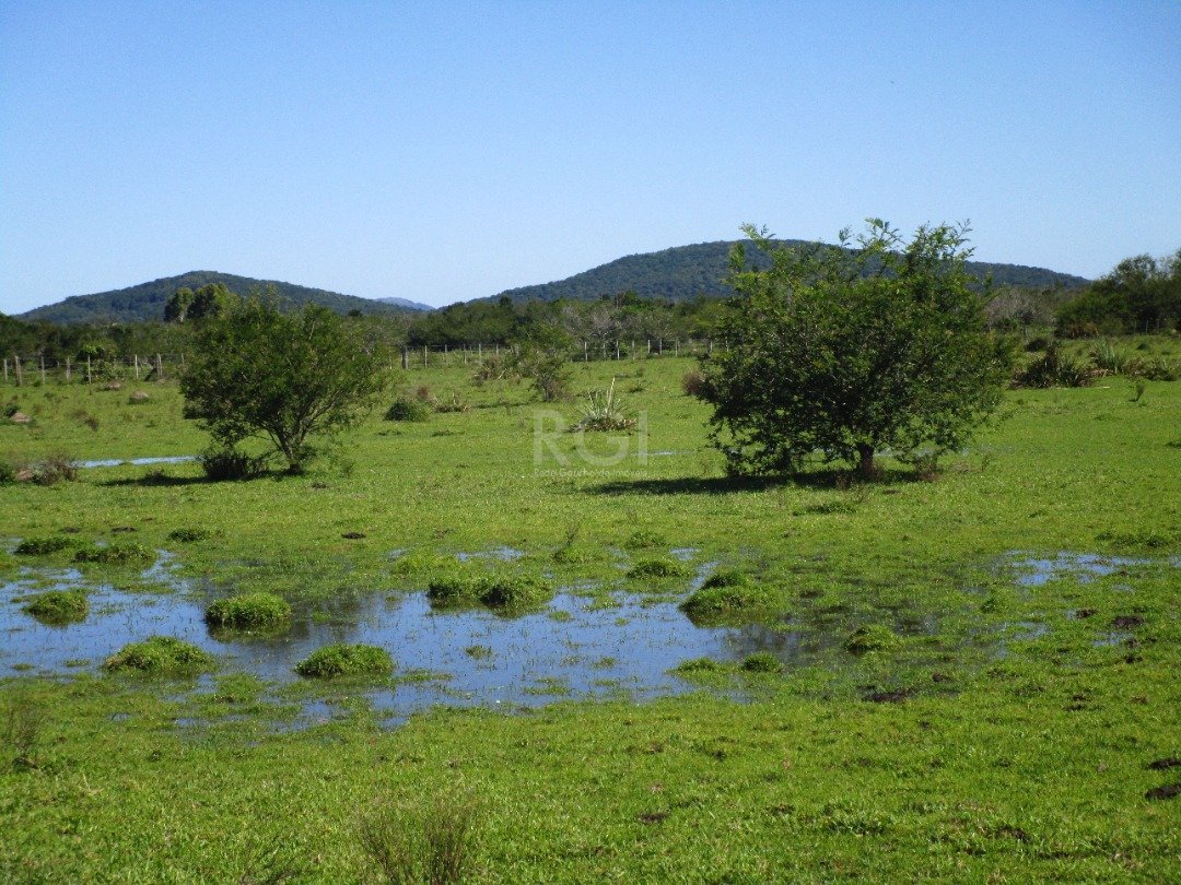 Terreno à venda, 200000m² - Foto 7