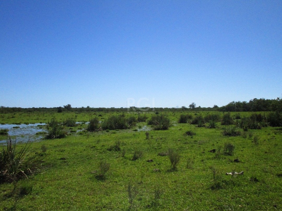 Terreno à venda, 200000m² - Foto 8