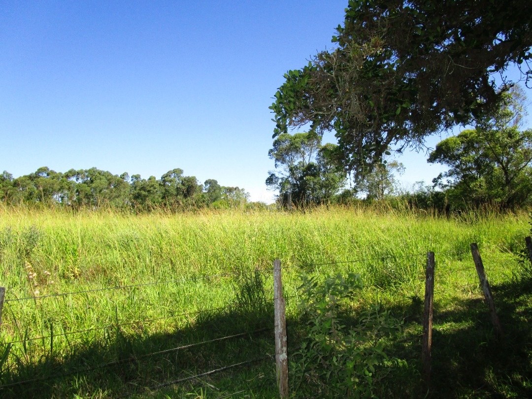 Terreno à venda, 200000m² - Foto 9