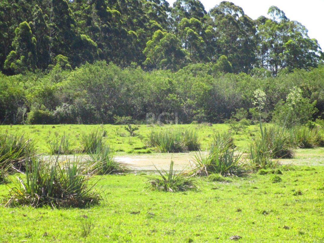 Terreno à venda, 200000m² - Foto 13