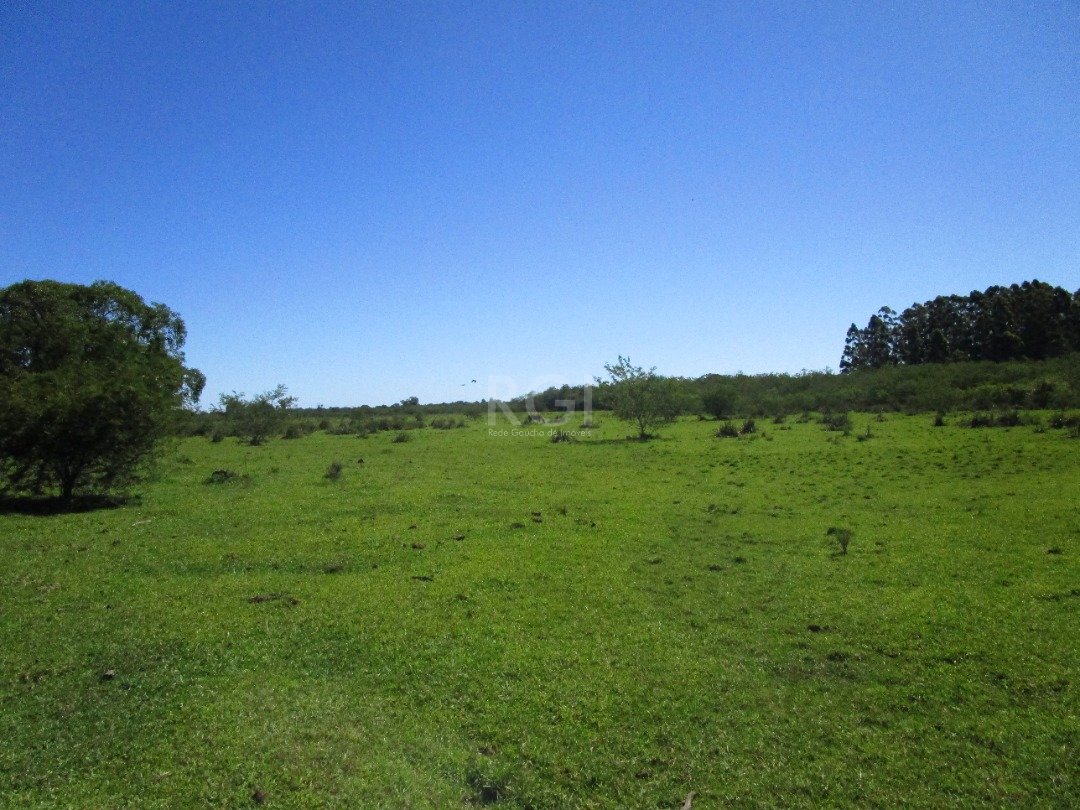 Terreno à venda, 200000m² - Foto 1