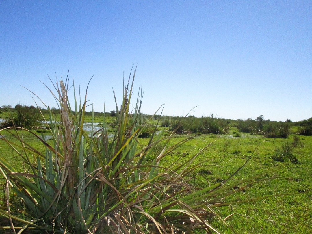 Terreno à venda, 200000m² - Foto 17