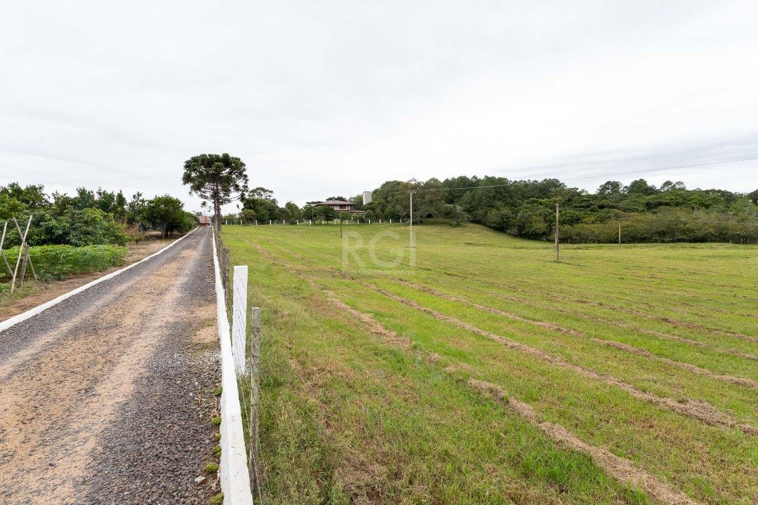 Sítio à venda com 3 quartos, 8700m² - Foto 11